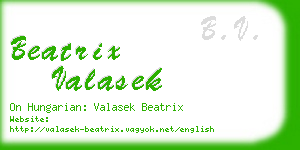 beatrix valasek business card
